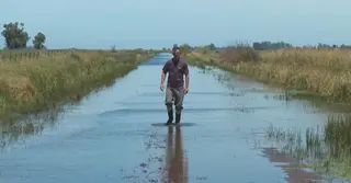 বন্যায় ব্যহত আর্জেন্টিনার কৃষি, হুমকিতে সয়াবিন-ভুট্টা উৎপাদন